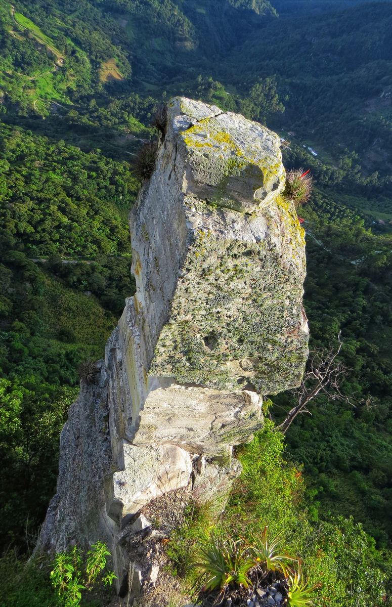 Gran columna de roca en un valle con bosque