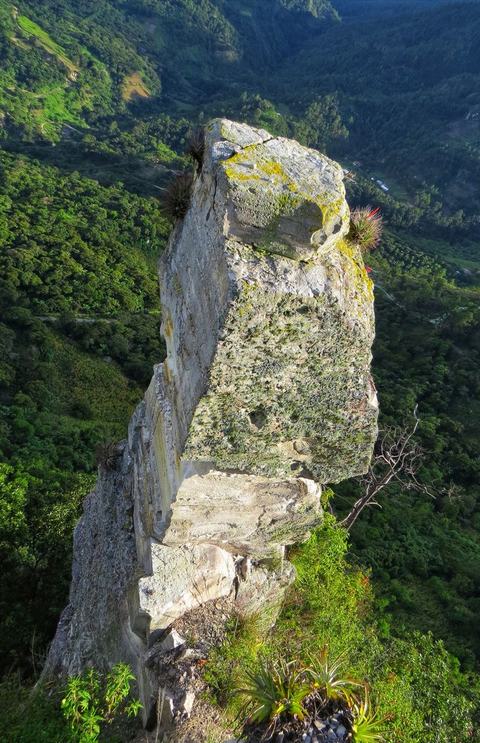Gran columna de roca en un valle con bosque